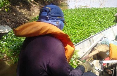 SEMAM fiscaliza trabalho de retirada de aguapés do leito do rio Poti